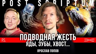 Опасные подводные ребята. Яды, зубы, хвост... | Ярослав Попов | Постскриптум