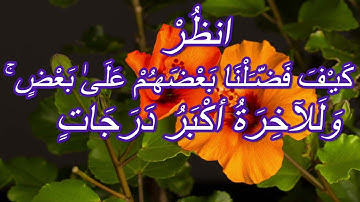 مسجد الرحمة🕌ما تيسر من سورة الإسراء(آيه 18 - 28)صلاة الفجر 15-06-1443ه‍  18-01-2022الشيخ أمين حيمران