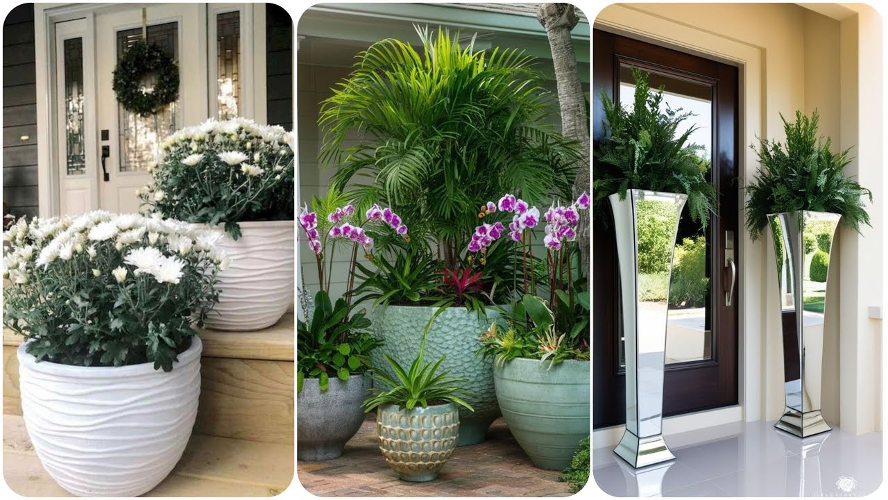 Plant Flowers In Large Outdoor Pots Large Garden Pots Ideas Large Plant Flowers In Large Outdoor Pots Large Garden Pots Ideas Large