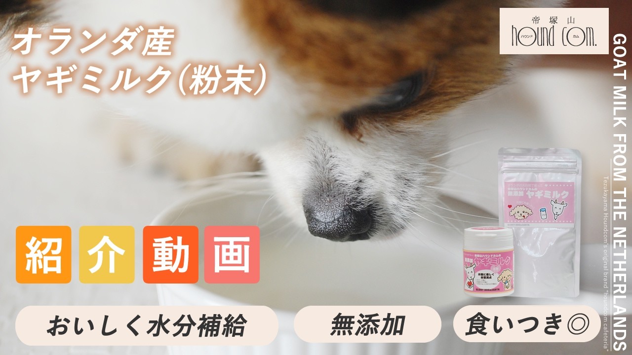 犬用ヤギミルクなら｜無添加ヤギミルクパウダー｜シニア犬・腎臓が気に