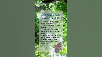 5 tác dụng tuyệt vời của rau tía tô #drhuong #angi #foryou