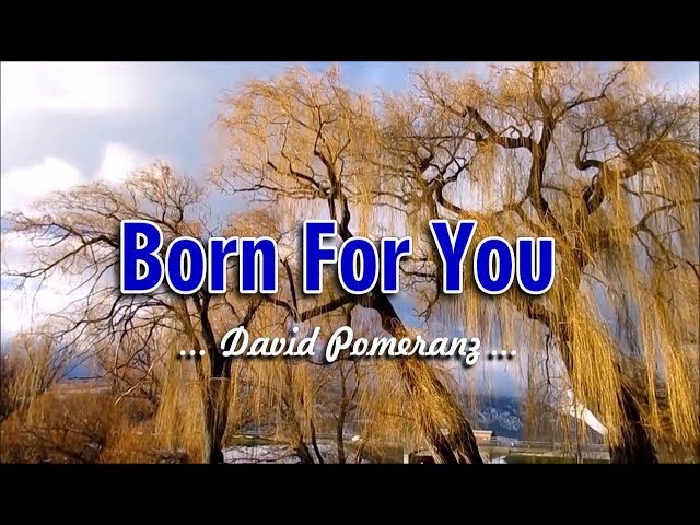 Born For You - David Pomeranz (KARAOKE VERSION) class=