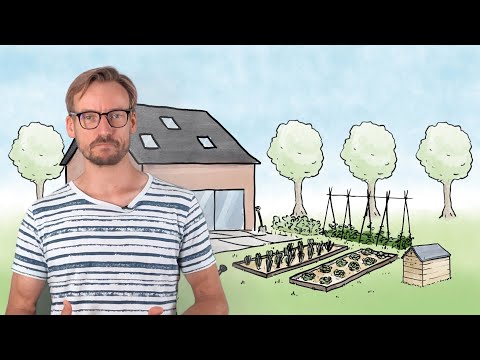 Video: De Toekomst Die We Verdienen: Organen Gegroeid Uit Planten - Alternatieve Mening