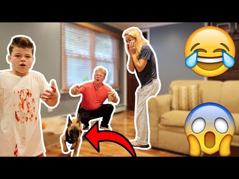 my-dog-attacked-me-prank-on-parents!