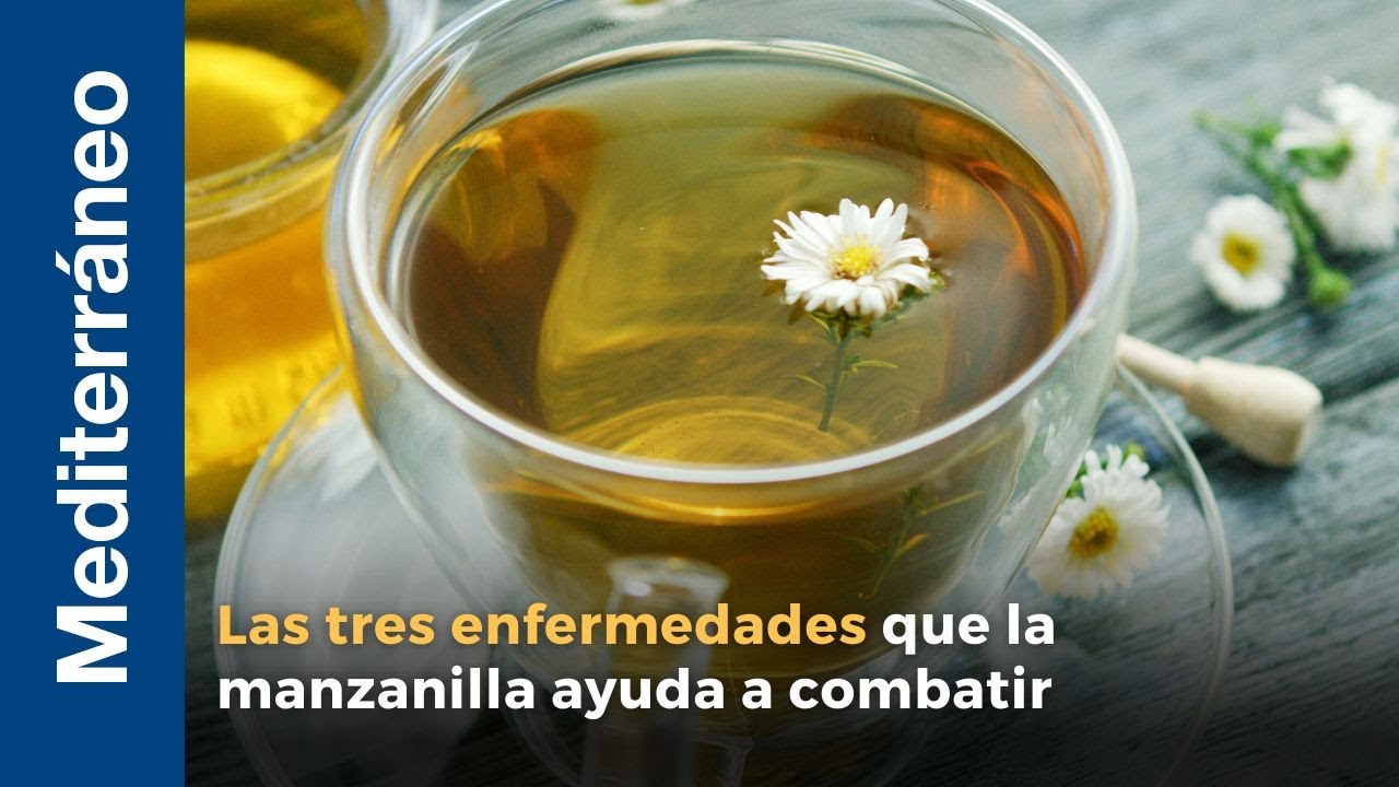 INFUSION RECOMENDADA  Las tres enfermedades que la manzanilla