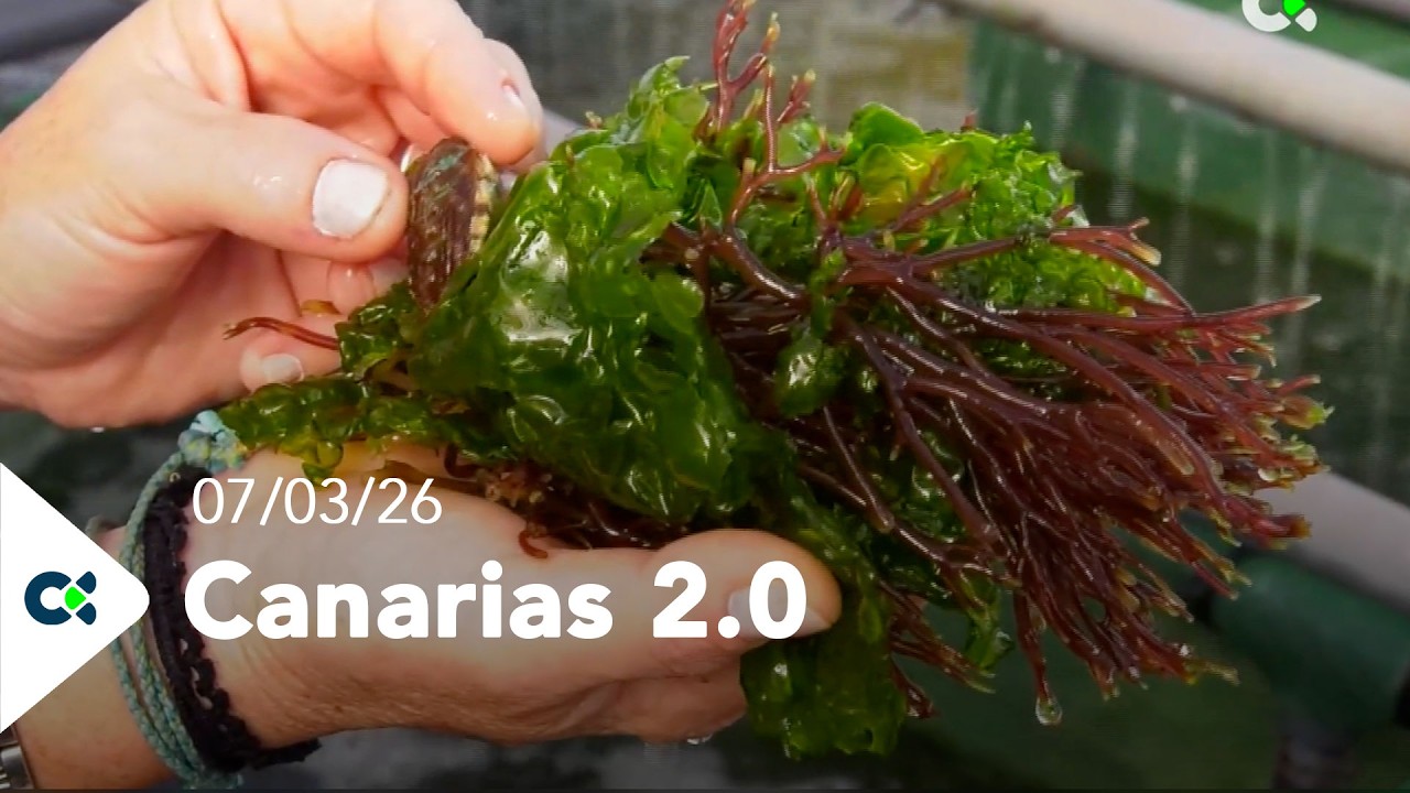 Canarias 2.0 | 07/03/26