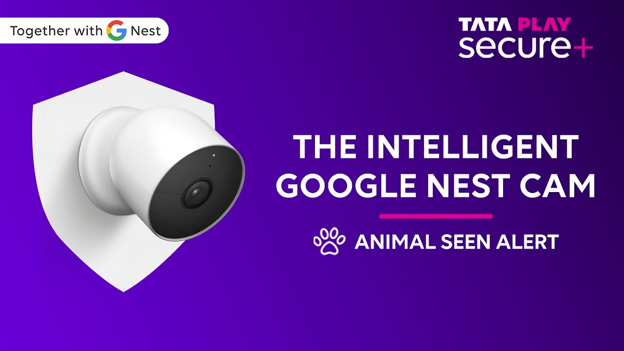 Tata Play Secure+ | Keep an eye on your beloved pets with Tata Play Secure+ powered by #googlenest