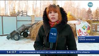 Лебединая история Лебединая история