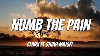 Clarx, Catas, Le Malls, CHENDA, Anikdote - Numb The Pain (feat. Shiah Maisel) Lyrics
