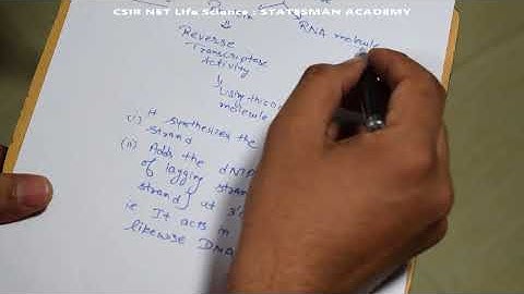 CSIR NET Life Science | Replication | Statesman Academy