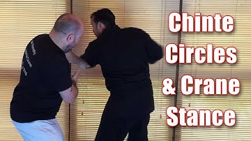 Practical Kata Bunkai: Chinte Circles & Crane Stance