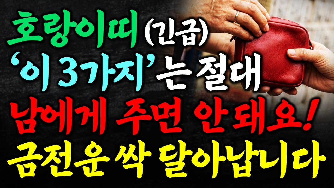 호랑이띠가 절대로 남에게 주면 안 되는 3가지 물건! 금전운 싹 달아납니다 호랑이띠 금전 운세