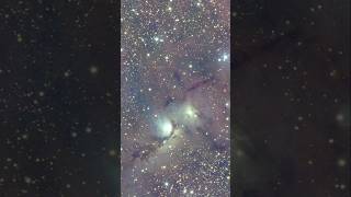 I Pointed my Telescope at M78 for 11 hours: Askar SQA55