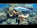 LIVE🔴 The thrill of underwater spearfishing abroad| Aqua Quest 10253 #underwater #fishing #diving