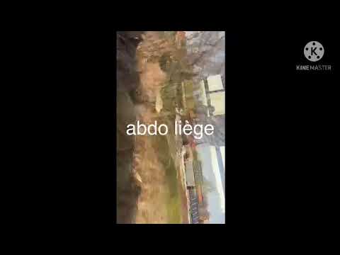 رحلة قصيرة بالقطار من مدينة لييج إلي العاصمة بروكسيل