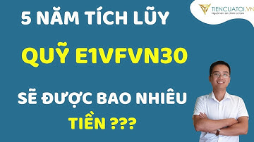 Có được bao nhiêu tiền với kế hoạch 5 năm tích lũy quỹ ETF VN30 (e1vfvn30)