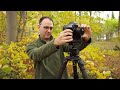 Falling Back in Love with Landscape Photography - By Shooting Autumn Woodlands