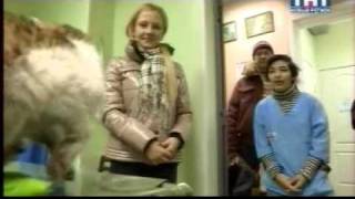 Кошка Дуня жертва человеческой жестокости, поправляется и ждёт своих хозяев