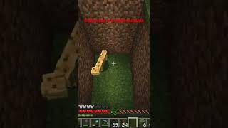 (Lukethenotable) Luke saves the day by yelling at a cat.