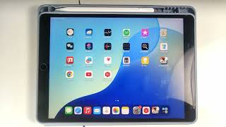 how to check system data usage size on ipad air