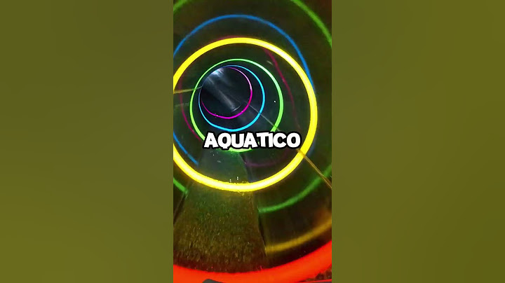 UM TUBARÃO GIGANTE FOI VISTO NO PARQUE AQUÁTICO! 😨🦈 #shorts #youtube #youtubeshorts