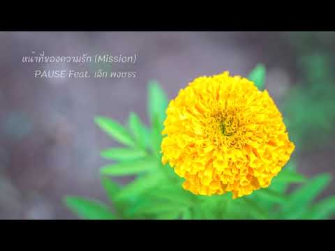 หน้าที่ของความรัก (Mission) - PAUSE Feat. เล็ก พงษธร