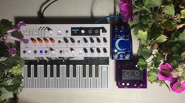 Arturia Microfreak & Monome Norns Shield (Reels) - Ambient Jam