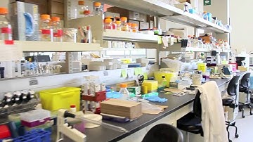 York University opens new Life Sciences Building