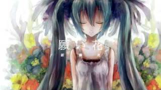 Video thumbnail of "【初音ミク】願い花【with 中文字幕】"