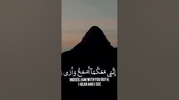 القارئ: يوسف عثمان