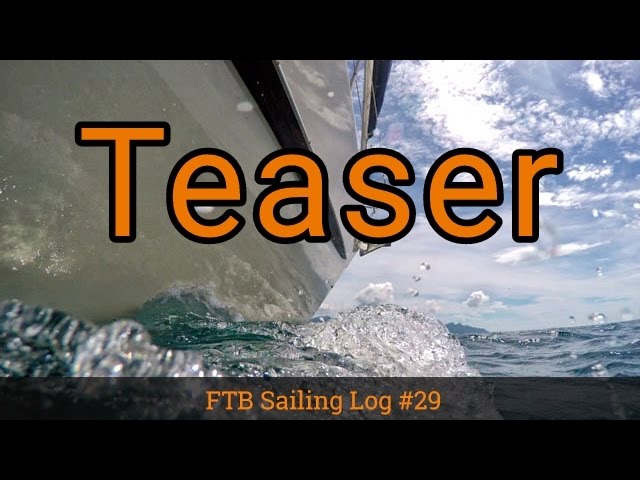 TEASER #29