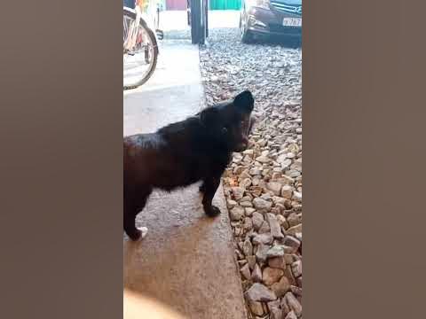 может кечуп - YouTube