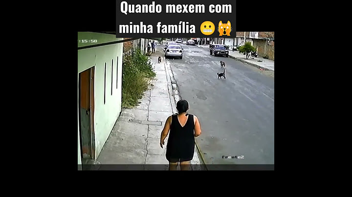 Briga de gato com cachorro 😁 Shorts #viralshorts #viralvideo