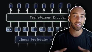 Vision Transformers (ViT) Explained + Fine-tuning in Python screenshot 5