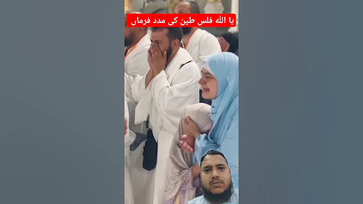 green screen short video #hamedia #dute #foryou #collab #youtubeshorts