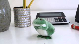 Wind Up Frog