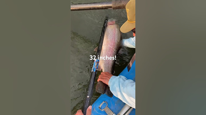 New Colorado State Record Rainbow Trout #catchandrelease