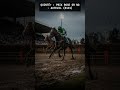 Quinté+ Prix Rose or No : Pronostics Auteuil et Surprise Terrain Lourd