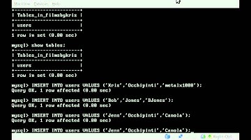 MySQL - Inserting Data - BASH - Linux