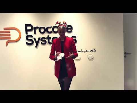 les-voeux-de-noël-et-bonne-année-2019-d'elodie---procare-systems