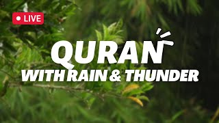 Quran with rain \& Thunder sounds!! | Peace | Amazing | Listen | Surah Yunus | Sheikh Moaaz Yasir