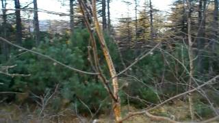 Magadan, Russia: Shashliks in the Mountains. Bez Medvedi!