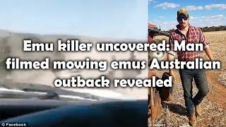 Emu killer uncovered: Man filmed mowing emus Australian outback revealed