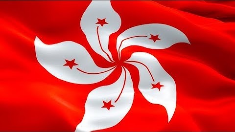 HK flag video waving in wind. HKG China Flag background. Hong Kong Protests flag Full HD