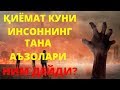 ҚИЁМАТ КУНИ ИНСОННИНГ ТАНА АЪЗОЛАРИ НИМА ДЕЙДИ?