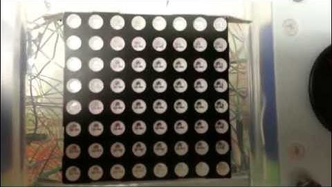 ECE 362 Project Team 3: TRON Academic Exer-Cycles