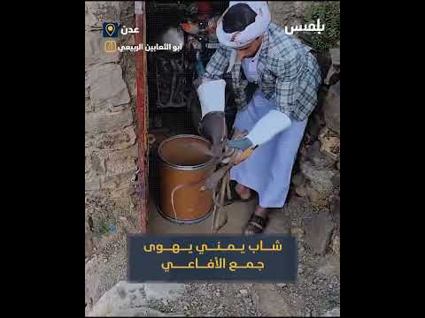 مشاهد من الحياة اليومية في اليمن: حوارات عفوية وصور