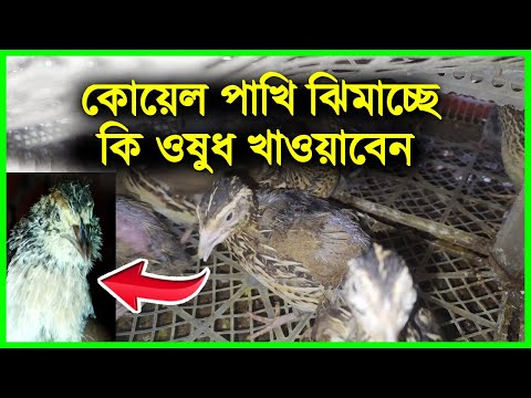 ভিডিও: আধুনিক স্ব-পরিষেবা ডিভাইস: টার্মিনাল এবং এটিএম-এর মধ্যে পার্থক্য কী?