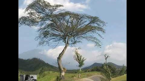 Hujan - Slank