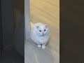 눈깜빡~